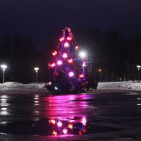 Новогодние отражения :: Сергей Кочнев