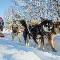 Дороги, которые нас выбирают... :: Ежъ Осипов