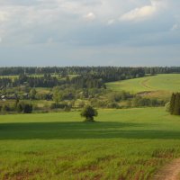 Поля :: Александр Попков