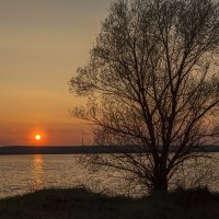 Тёплый весенний вечер :: Юрий Клишин