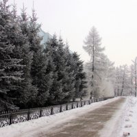 Зима в городе :: раиса Орловская