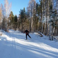 Зимой в лесу :: Галина Минчук