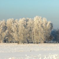 Белая сказка. :: nadyasilyuk Вознюк