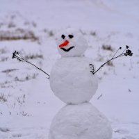 Первый Снеговик! :: Sergey (Apg)