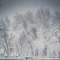 зима :: Arshak Badalyan