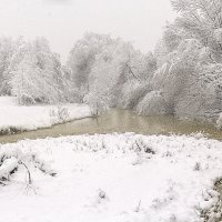 Снегопад :: Елена Васильева