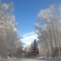 Зимний пейзаж :: Ольга Осовская