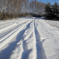 Зимняя  дорога. :: Валерия  Полещикова 