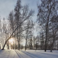 зимний день :: Николай Мальцев