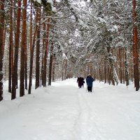 Прогулка по лесу. :: Мила Бовкун