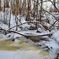 Водопад скованный. :: Константин Иванов