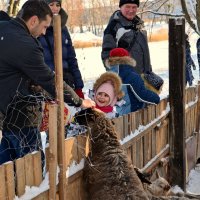 Общению с животными радуются и взрослые, и дети! :: Валентина Данилова