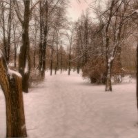 Зима в парке. :: Anatol L
