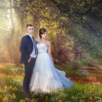 Свадьба Александра  и Евгении :: Андрей Молчанов