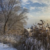 Холодный январский вечер 2016 :: Юрий Клишин