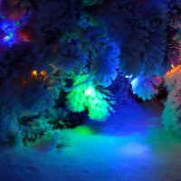"Цветной" снег на елке :: Александр Стариков