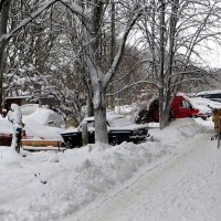 Снежный январь 2015 года :: Татьяна Смоляниченко