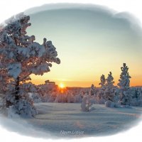 Зимняя благодать и красота :: Лидия (naum.lidiya)