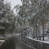 Первый снег в Кедровом :: Олег 
