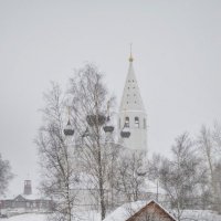 Снежный день в Вятском :: Галина Galyazlatotsvet