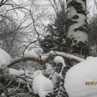 Зима в Айну :: Maikl Smit