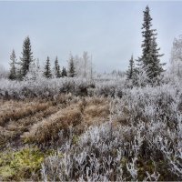 Первый иней :: Александр 