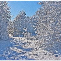Зима в стиле импрессионизма :: Лидия (naum.lidiya)