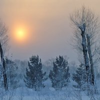 Морозное солнце :: Екатерина Торганская