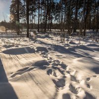 * :: Александр Тулупов