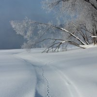 Утро :: Радмир Арсеньев