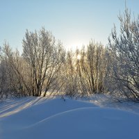 Сугробы... Солнце... Северодвинск. :: Михаил Поскотинов