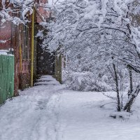 А снег идет :: Игорь Сикорский