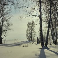 мороз и солнце... :: Николай Мальцев
