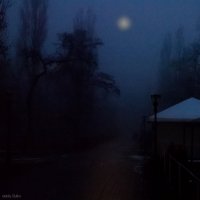 Туманная ночь. :: Анатолий Шулков