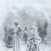 Зима. :: Наталья Борисова