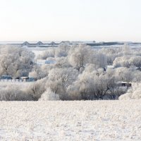 Зимний пейзаж :: Alex Bush
