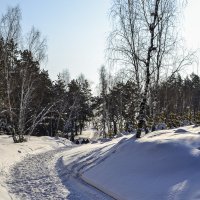 Дорога в чащу. :: юрий Амосов