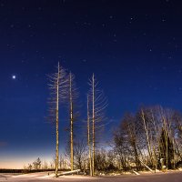 Венера на вечернем небе. :: Вячеслав Ложкин