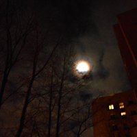 Лунное затмение :: Mary Коллар
