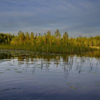 Озеро Саркоярви... :: Владимир Ильич Батарин