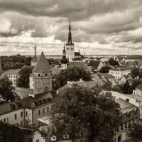 Старый Таллин :: Владимир Засимов