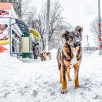 *** :: Александр Александров