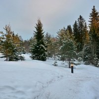 В неярком свете фонаря :: Леонид Иванчук