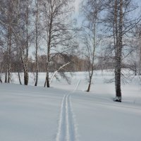 белое безмолвие :: Николай Мальцев