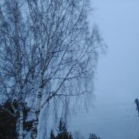 Зима.2017 :: Артём Бояринцев