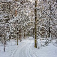 Зимние виды :: Владимир Лазарев