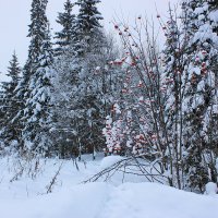 Зимний пейзаж :: Александр Щеклеин