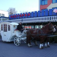 Карета   в   Ивано - Франковске :: Андрей  Васильевич Коляскин