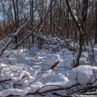 Много снега. :: Владимир Безбородов
