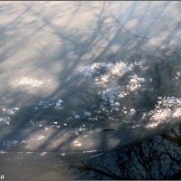 Замёрзшая река :: Нина Бутко